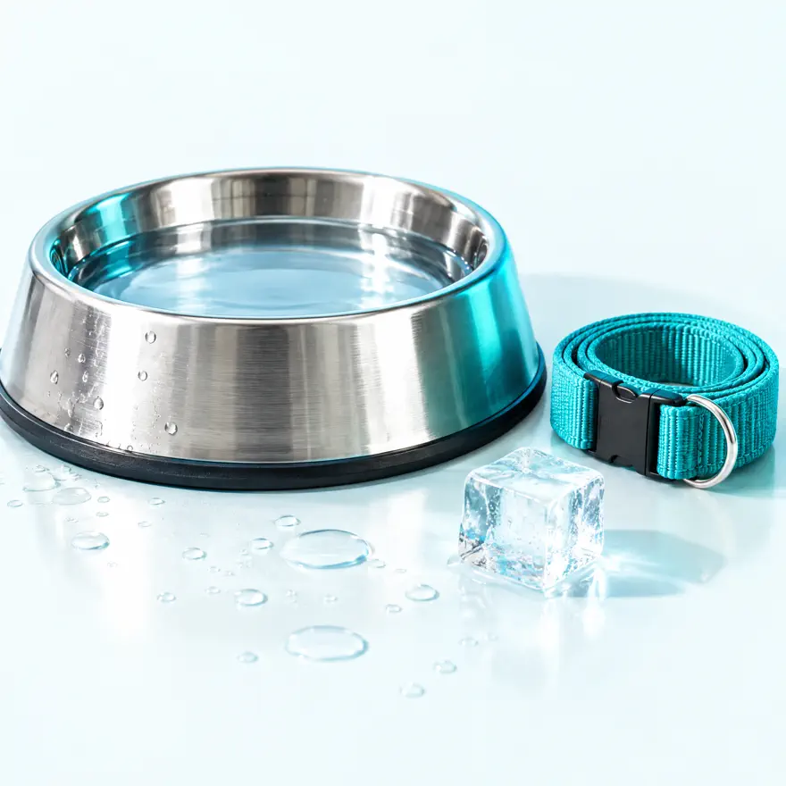 Vasilha de inox com água, gotas e uma coleira teal enrolada