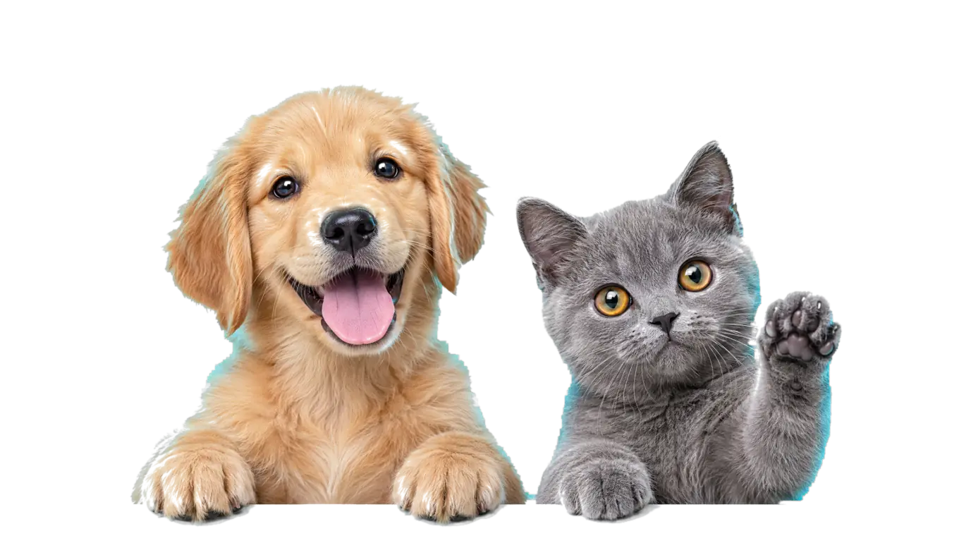 Um filhote de golden retriever sorrindo e um gatinho cinza levantando a patinha, os dois apoiados sobre o nome da clínica